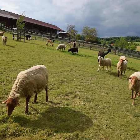 Esperanzahof شاليه