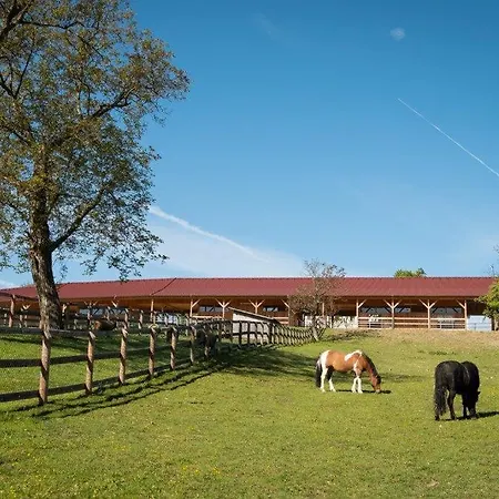 Domek alpejski Esperanzahof *