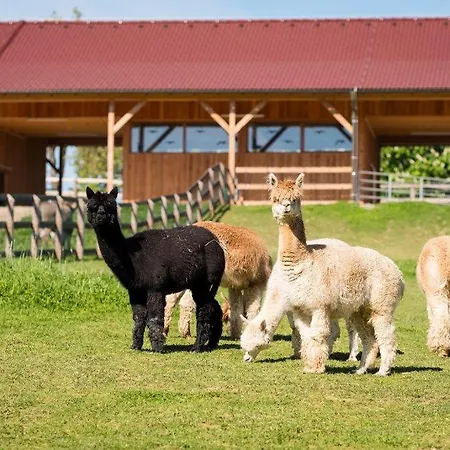 Esperanzahof Domek alpejski