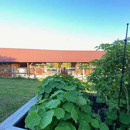 Chalet Esperanzahof Oberndorf an der Melk