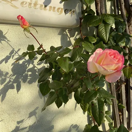 Esperanzahof * Oberndorf an der Melk