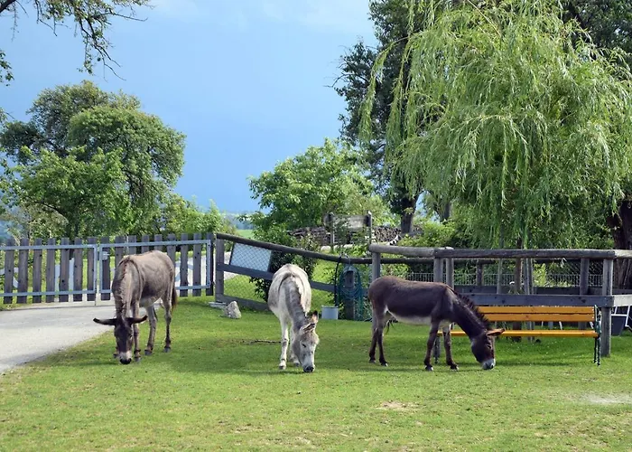 Chalet Esperanzahof Oberndorf an der Melk