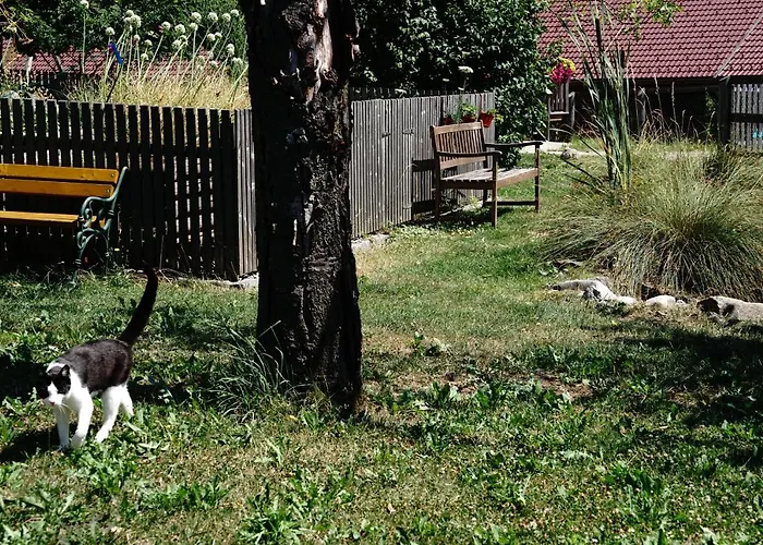 Esperanzahof * Oberndorf an der Melk