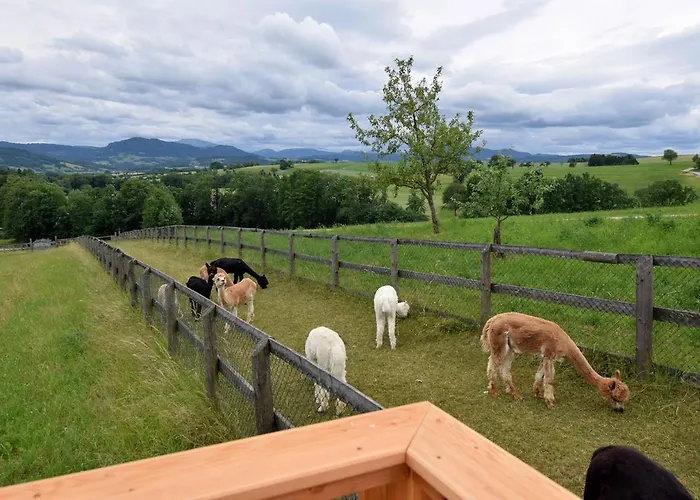 Chalet Esperanzahof *