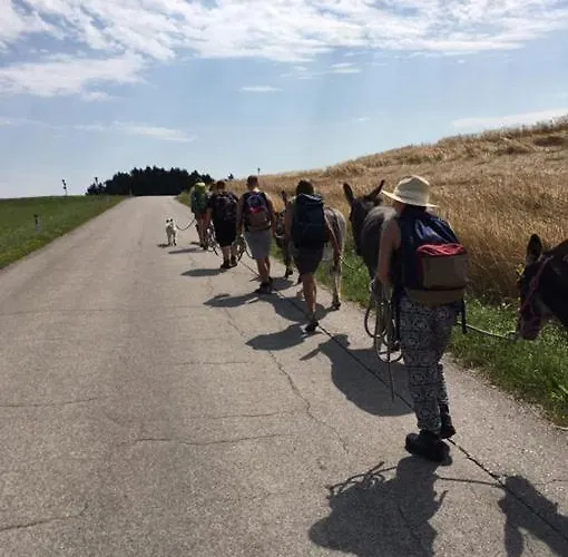 Esperanzahof Oberndorf an der Melk