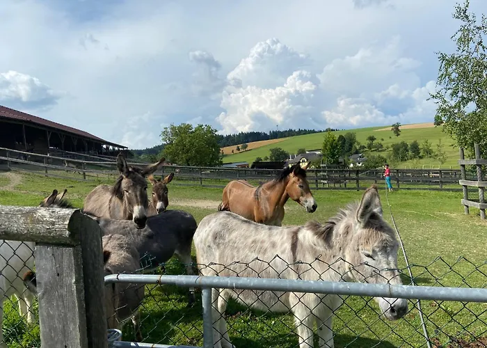 Esperanzahof Chalet *