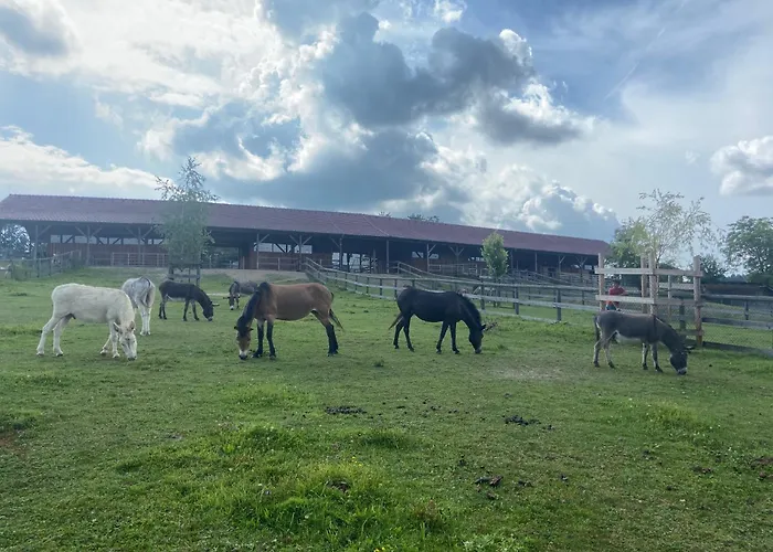 Chalet Esperanzahof *